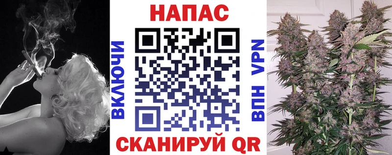 как найти наркотики  kraken как войти  Канабис ГИДРОПОН  Волосово 